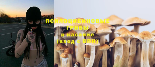 прущий лед Кодинск